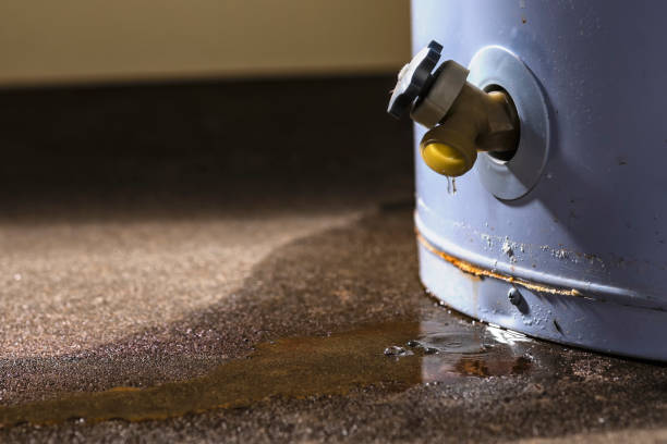 Best Flood restoration services  in Tooele, UT