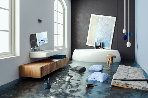 Best Mold removal after water damage  in Tooele, UT