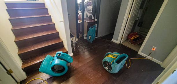 Best Flood damage cleanup  in Tooele, UT