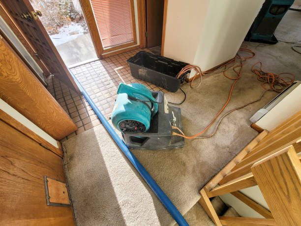 Best Water damage repair service  in Tooele, UT
