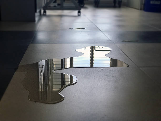 Best Commercial water damage restoration  in Tooele, UT