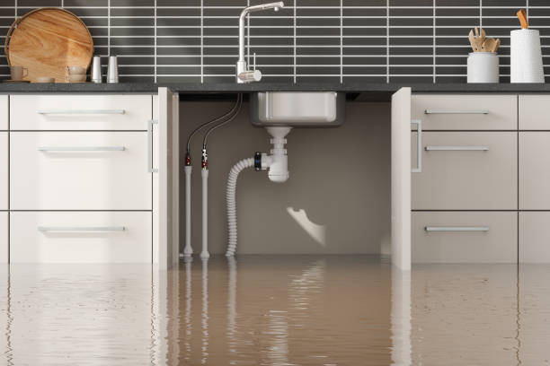 Best Ceiling water damage repair  in Tooele, UT