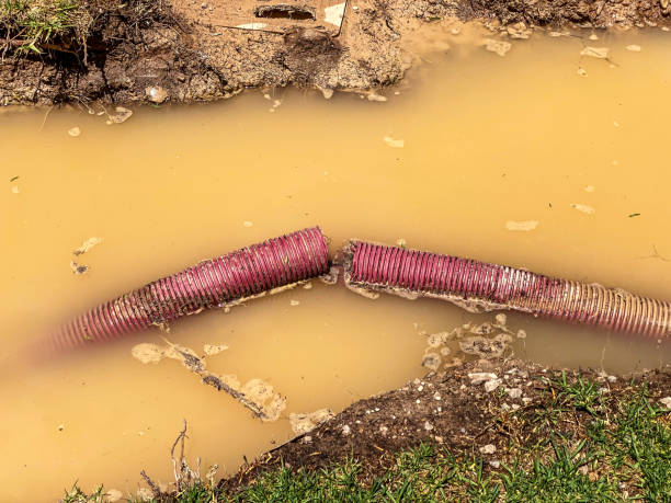 Best Water damage restoration company  in Tooele, UT